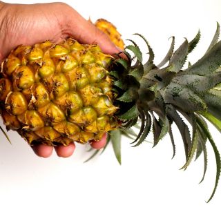 Estratto di frutto di Ananas Comosus