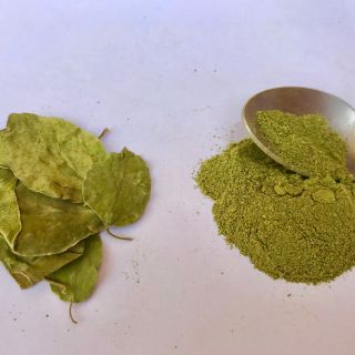 Estratto di foglie di Gymnema Sylvestre