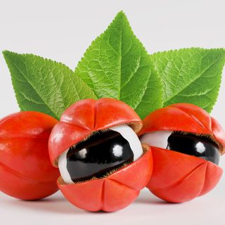 Estratto di semi di Guaranà